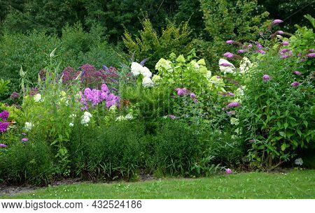 Colorful Perennial Beds With Flowering Shrubs. It Is A Mixture For Bees. The Park Arrangement Of A W