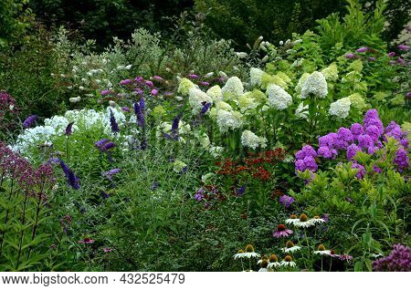 Colorful Perennial Beds With Flowering Shrubs. It Is A Mixture For Bees. The Park Arrangement Of A W
