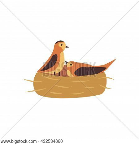 Twisted Nest, Two Birds Male And Female, Family. Colorful Vector Isolated Cartoon Illustration. Prin