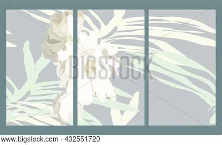 Abstract Flower Design Concept. Abstract Flower Illustration.