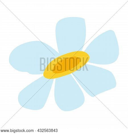 Hand Drawn Sketch Chamomile Flower Isolated. Decorative Floral Element. Graphic Design. Cartoon Flat