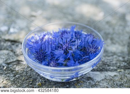Petals Of Flowers In Water For Plant Tincture
