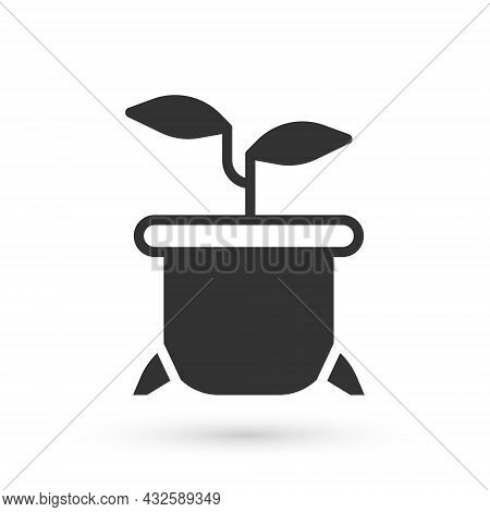 Grey Plant In Pot Icon Isolated On White Background. Plant Growing In A Pot. Potted Plant Sign. Vect