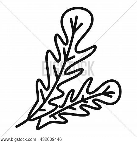Ruccola Food Icon Outline Vector. Arugula Leaf. Vegetable Plant
