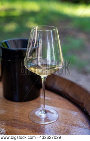 Tasting Of Dry Burgundy White Wine Made From Chardonnay Grapes, Wine Tourisme To Burgundy Cote De Be