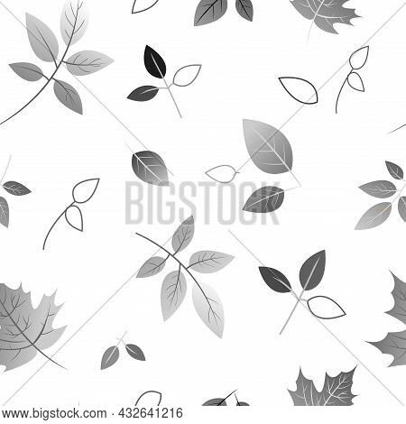 Black And White Illustration. Leaves On A White Background