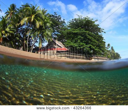Tropická pláž s palmami na povrchu a pod vodou pohled zdola. Dauin, Filipíny