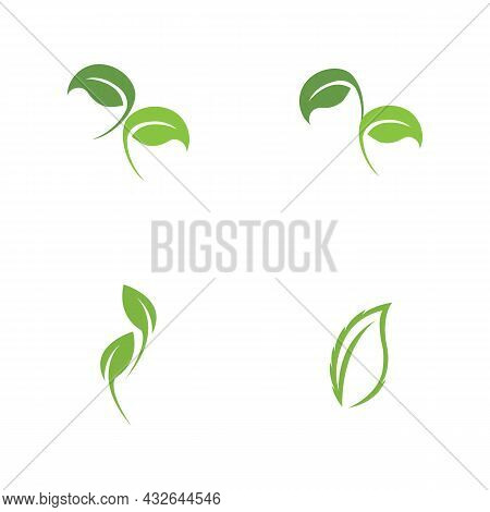 Logos Of Green Leaf Ecology Nature Element Vector