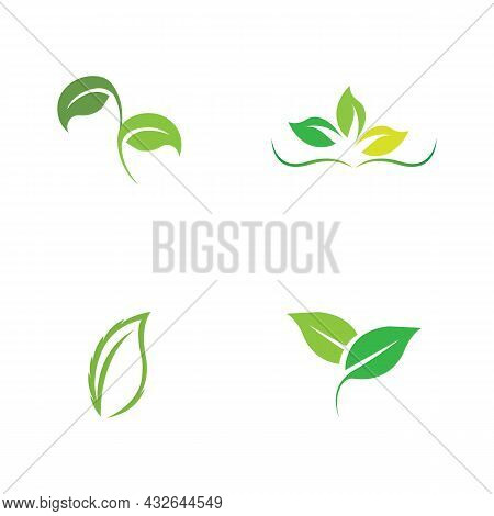 Logos Of Green Leaf Ecology Nature Element Vector