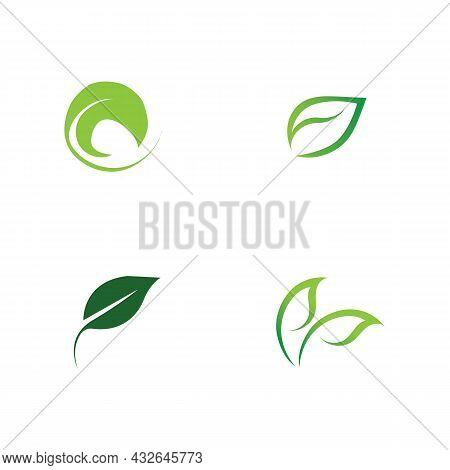 Logos Of Green Leaf Ecology Nature Element Vector