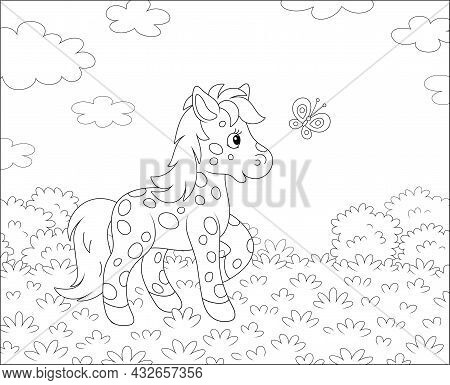 Spotted Cute Little Pony Playing With A Merry Flittering Butterfly On A Pretty Summer Field, Black A