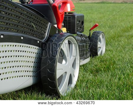 잔디를 깎고 grassmower의 근접 촬영