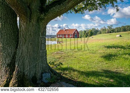 Typical Red Wooden House In Countryside By The Sea In Nature Of Southern Sweden On A Beautiful Sunny