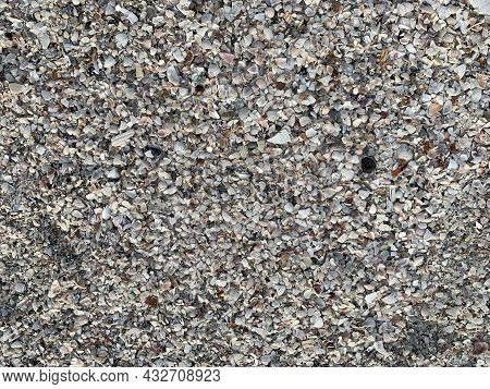 Beach Having Shells Instead Of Small Bit And Pieces Of Shell.