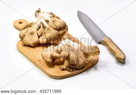 Oyster Mushroom, Pleurotus, Phoenix Mushroom On A Wood Cutting Board On White Background