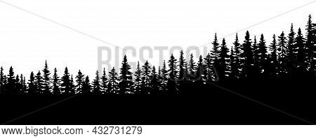 Forest Silhouette. Nature Landscape. Environment Background. Flat Abstract Design. Vector Illustrati