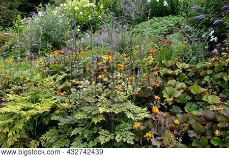 Colorful Perennial Beds With Flowering Shrubs. It Is A Mixture For Bees. The Park Arrangement Of A W