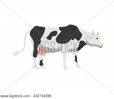 Cartoon Black And White Spotted Cow Holstein Frisian Breed