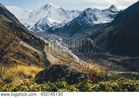 Red Leaves Of Thorny Barberry On Hill On Background Of Great Snowy Mountains And Shiny Mountain Rive