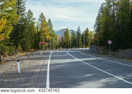 Colorful Autumn Landscape With Larches With Yellow Branches Along Mountain Highway. Coniferous Fores