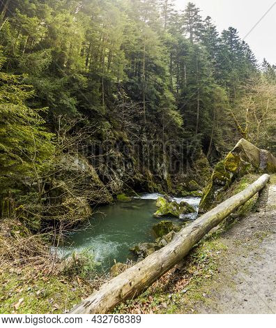 Kamianka River At The Carpathian Mountains