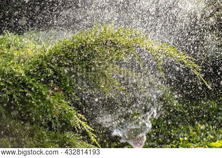 Modern Device Of Irrigation Garden. Irrigation System - Technique Of Watering In The Garden. Lawn Sp
