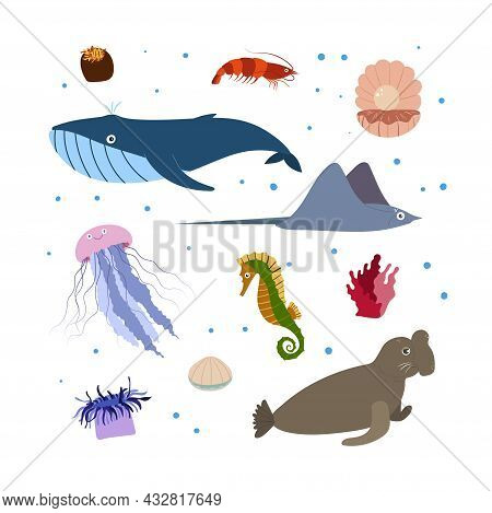 Design Template With Sea Animal In Square For Kid Print. Rectangle Composition Of Marine Animals, Wh