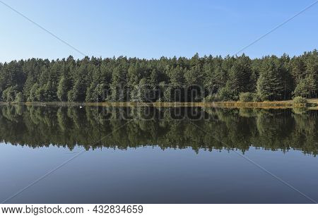 Summer Serene Symmetry And Harmony Landscape With Green Forest, Woods Reflection In Lake Water, Clea