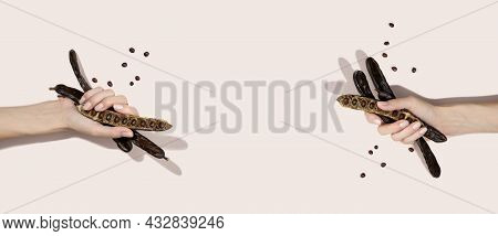 Organic Carob Pods, Powder And Carob Molasses On A Beige Background, Locust Bean Healthy Food, Cerat
