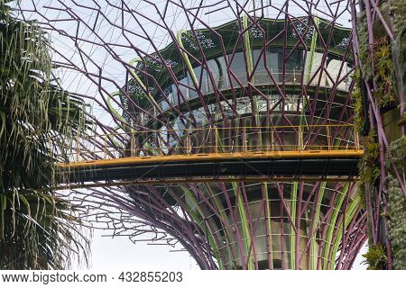 Singapore- Sep 9, 2021: Ocbc Skyway Aerial Walkway Between Supertree Grove Artificial Tree Construct