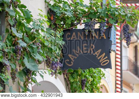 Barolo, Italy - September 10 2021: Sign Of An Old Cellar With Vineyard And Black Grapes In Barolo, P