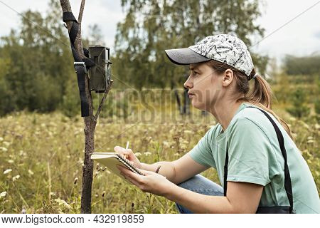 Young Woman Scientist Zoologist Writing Down Data From Trap Camera To Notepad, Observing Wild Animal