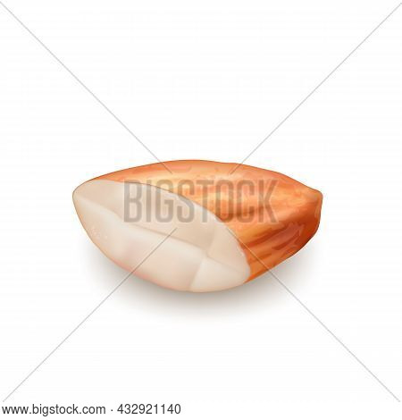 Almond Cut Nut Kernel Vitamin Natural Food Vector. Chopped Organic Almond Piece. Cracked Garden Seas