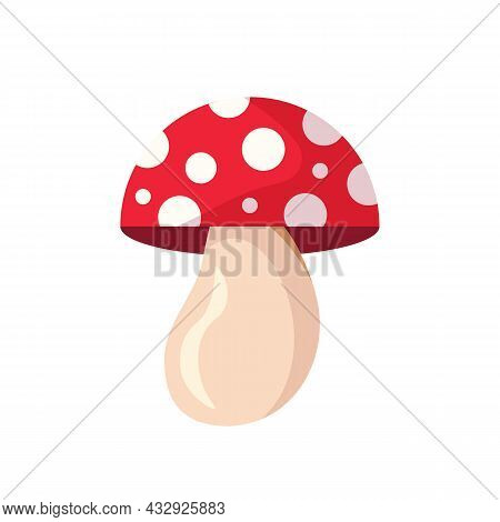 Red Mushroom Isolated On White Background. Autumn Mushroom Concept. Red Fly Agarics.. Vector Stock