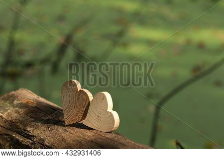 Wood, Straw, Texture, Pattern, Wicker, Tree, Circle, Brown, Basket, Hat, Object, Wooden, Rope, Woven