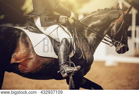 Equestrian Sport. The Leg Of The Rider In The Stirrup, Riding On A Horse. Stirrup Close-up. Dressage