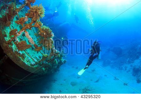 Ship Wreck in the Red Sea