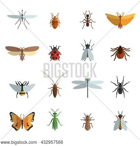 Insect Icon Flat Set With Mosquito Grasshopper Spider Ant Isolated Vector Illustration