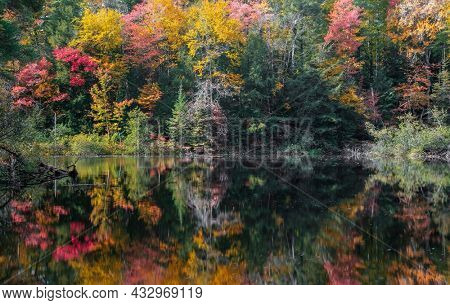 Colorful autumn trees and its reflection in water along Dead river in Michigan Upper peninsula
