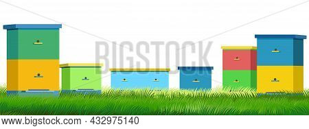 Apiary. Rural Farm Landscape With Colorful Bee Hives. Lower Bottom Border. Front View. Isolated On W