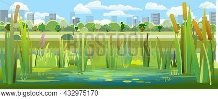 Landscape With A Swampy Shore Of A Lake Or River. Coast Is Overgrown With Grass, Reeds And Cattails.