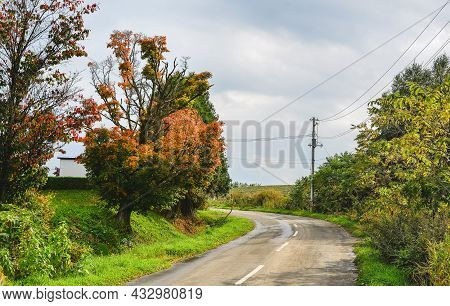 Rural Road In Furano, Japan