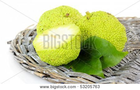 Osage Orange fruits (Maclura pomifera), isolated on white