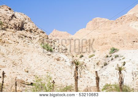 bellissime montagne