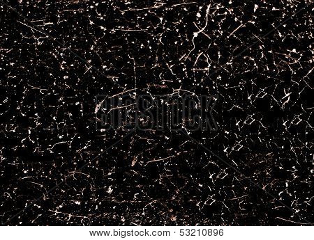 Web Spider Texture