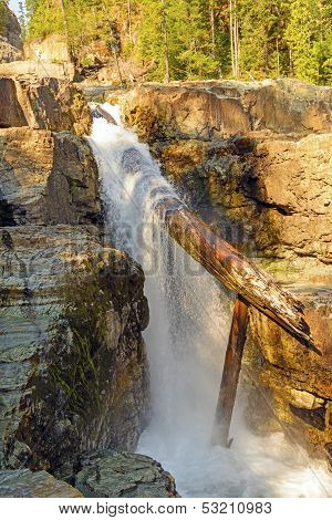 Dramatic Log Jam On A Waterfall
