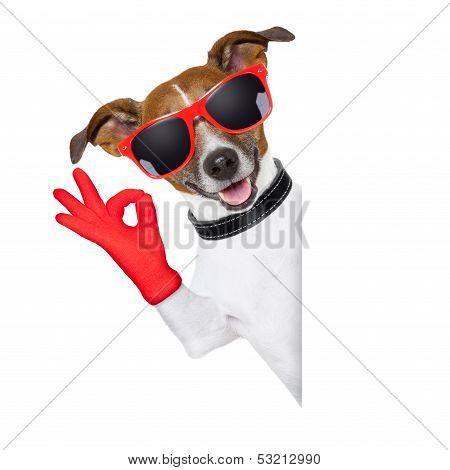 Ok Fingers Dog