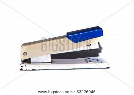 Staple