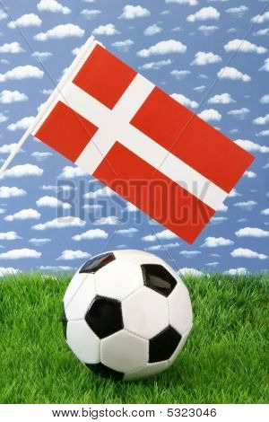 デンマークのサッカー