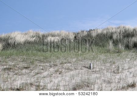 empty beach